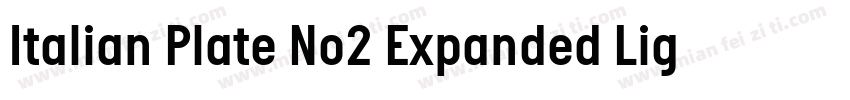 Italian Plate No2 Expanded Light字体转换